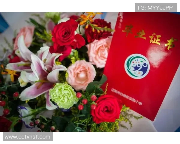 与张秀英畅谈飞盘生涯的点滴与成长之路