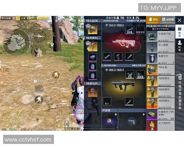 和平精英最新动态:深入分析TES战队的战术控制与表现 和平精英最新动态:深入分析TES战队的战术控制与表现