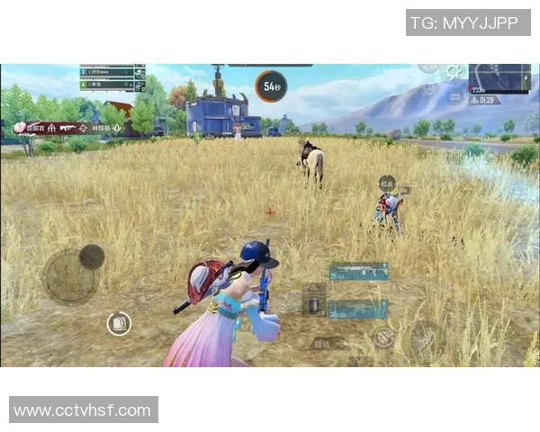 和平精英专题：深入探讨LNG在战术灵活性中的重要作用与应用分析