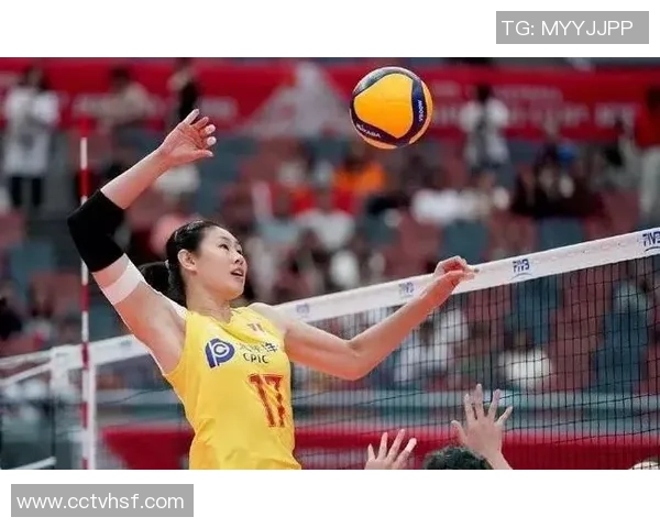 排球耐力排行榜揭晓北京排球队荣获第五名展现强大实力